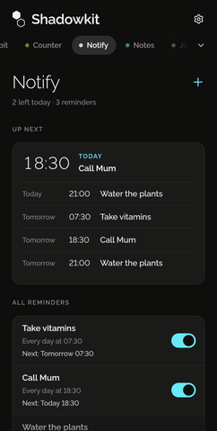 Shadowkit Notify’s page on Home: Up next with Call Mum at 18:30 today and the reminders after it, then every reminder with its switch.